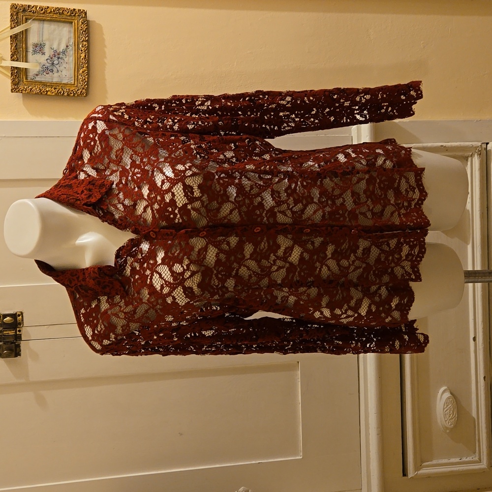 Ice Crimson Sheer Lace Blouse Sz L - image 1